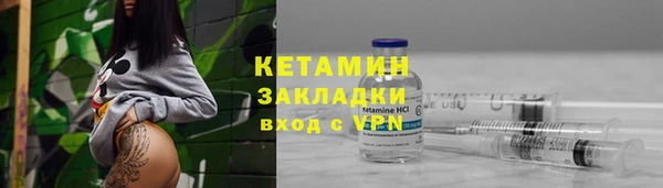 прущие грибы Вяземский