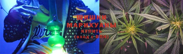 прущие грибы Вяземский