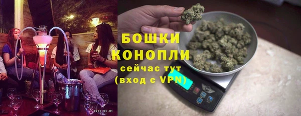 индика Мегион