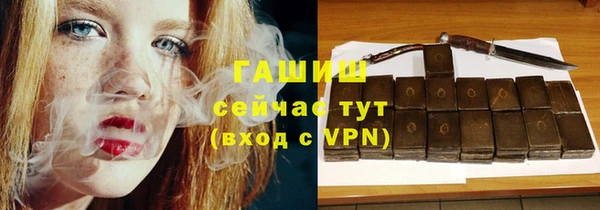 прущие грибы Вяземский